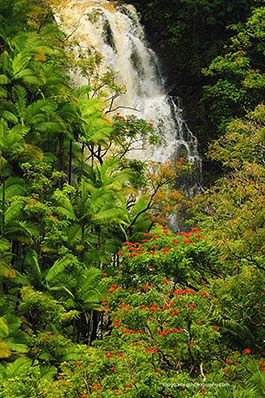 Hawaii Big Island waterfall